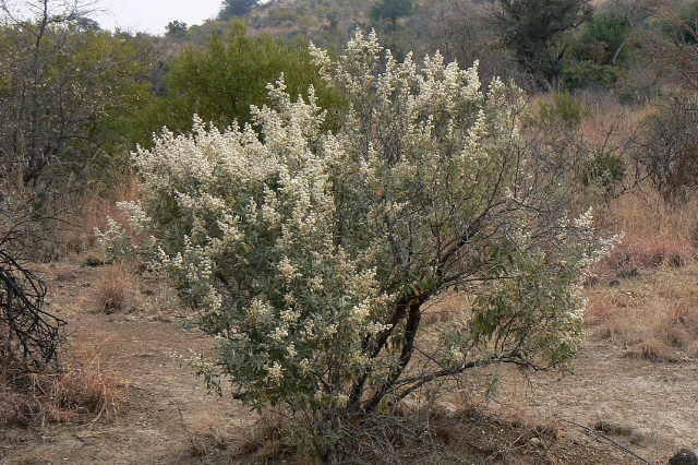 30ccf11932e81df26aaa16947921e0f9